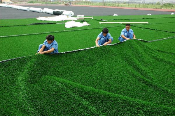 PP Durable Soft 7700 DTEX Artificial Grass Turf, Hockey Court Golf,Baseball