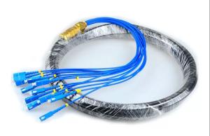 China CATV Network Patch Cord Pigtail 8.9mm Single Mode 12 Core Outdoor SC Pigtail factory