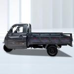 Versatile 250cc Cargo Motor Tricycle with Water Cooling Engine and Large Cargo
