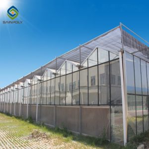 120km/H Multi Span Polycarbonate Greenhouse With Irrigation System