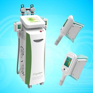 China 5 Handles Cryolipolysis Machine / Fat Freezing Machine / Cryolipolysis Slimming Machine factory