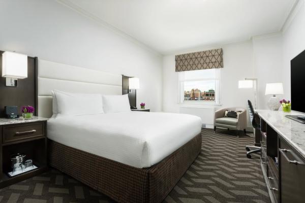 Hotel Room Standard Large Bedroom Leather Padded Headboard Bed and Big TV