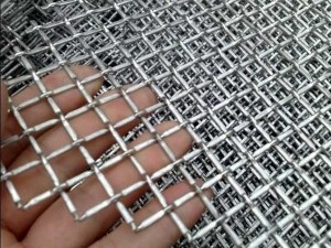 Galvanized Stainless Woven Wire Mesh 6mm Steel Crimped Wire Cloth