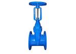 Rising Stem Din F4 F5 Water Valve BS5163 Cast Ductile Iron Gate Valve With PN10