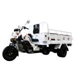 Sturdy 250cc Uzbekistan Mopes Motorcycle Cargo Agricultural Tricycle for Your
