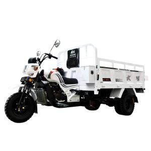 China DAYANG Chongqing Gas Engine Water-Cooled Tricycle Truck for Africa Market 3 Wheels factory