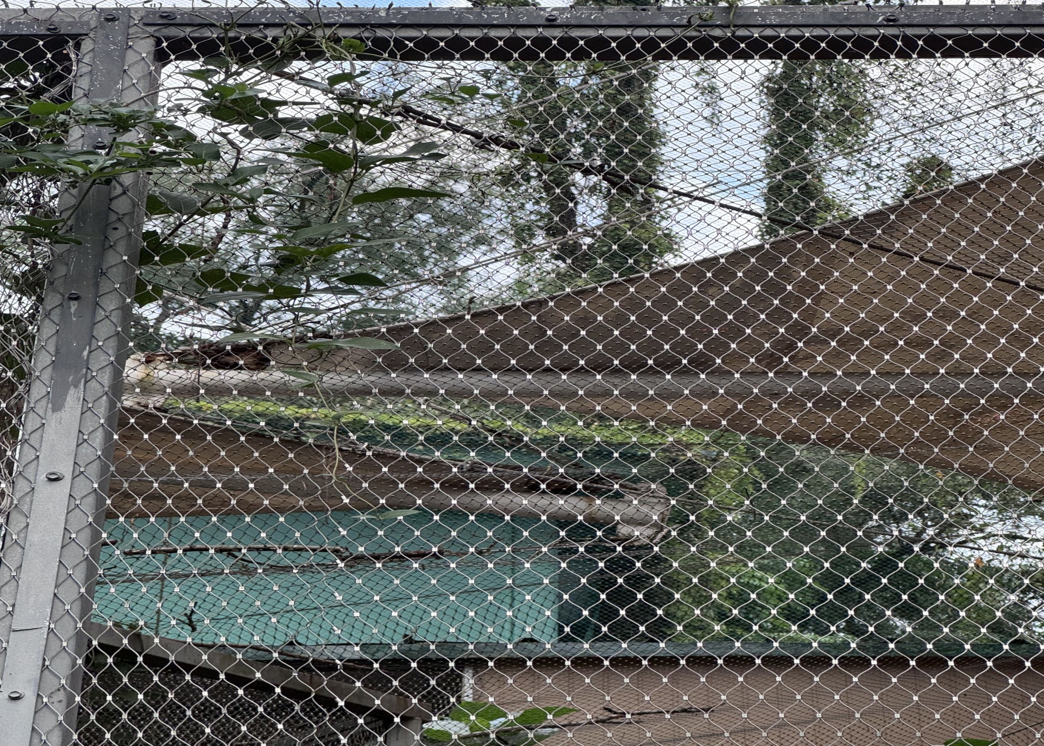 2mm Diameter 316 316l Stainless Steel Wire Rope Mesh For Zoo Animal Enclosures