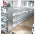 Poultry Farm cages for broiler chicken Breeding / Meat Broiler