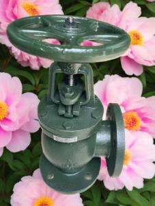 China ANSI angle valve factory
