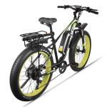 Electric Mountain Bike Fat Tyre Ebike 1000w Big Tire Electric Bicycle Hardtail