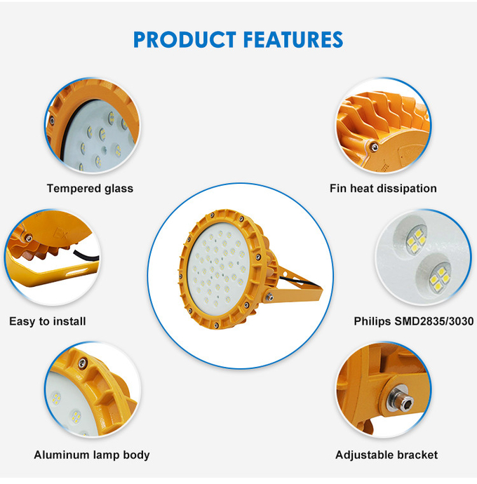 Explosion Proof High Bay Light Fixture 50W 100W 200W