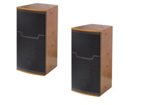 China 10 inch 350W Passive PA System Full Range Speakers for Indoor Performance factory
