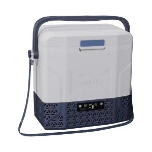 China 12L Green/Blue/Brown Car Freezer Fridge AC/DC Portable Refrigerator for French OEM Cars factory