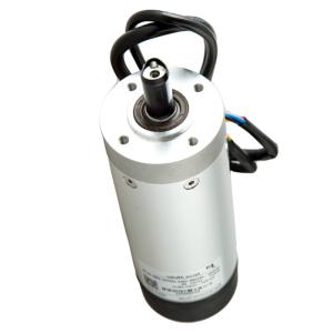 China Turnstile Swing Gate Permanent Magnet 100W 24V DC Servo Motor IE 4 factory
