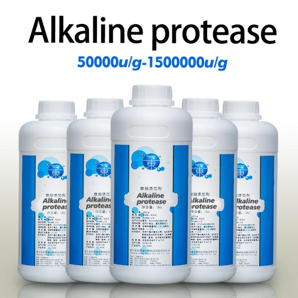 China Alcalase Protease 2.4 L  For Protein Peptide Processing Customizing Enzyme Activity Specifications factory