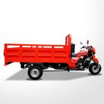 151 200cc Displacement Three Wheel Motorcycle Model at Myanmar with Powerful