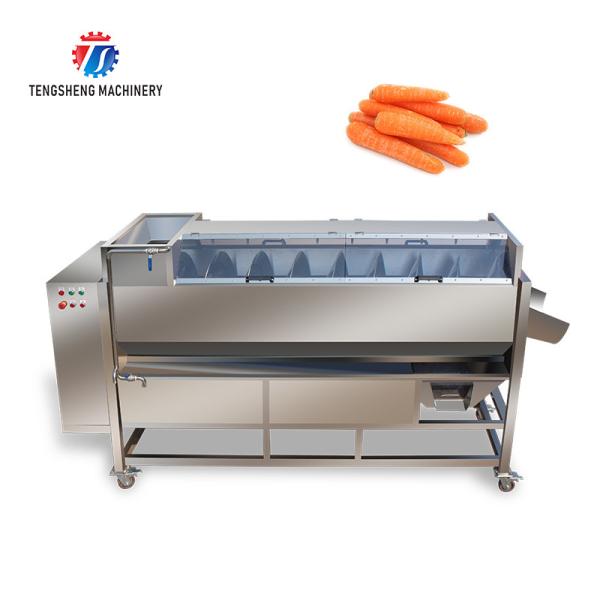 580KG Fruit and vegetable cleaning equipment continuous cleaning machine root