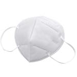 PPE KN95 FFP2 N95 12.5 X 8.5cm Respirator Dust Mask