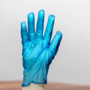 China Disposable PVC Gloves For Vegetable Washing Cutting Preparing XS S M L XL Size factory