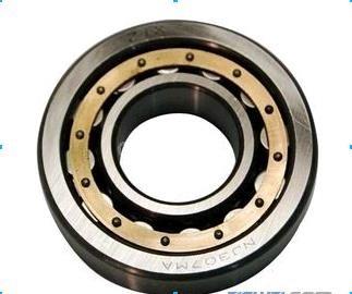Chrome Steel / Stainless Steel Cylindrical Roller Bearing Single Row NU319ecmc3