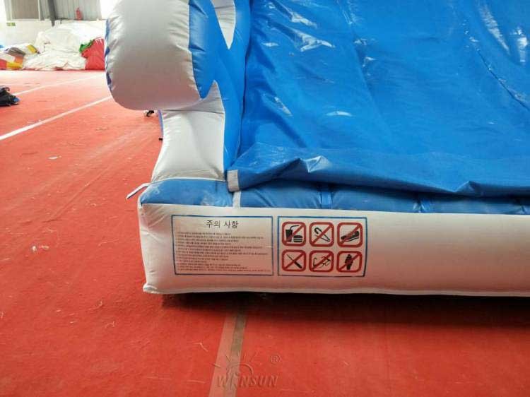 Customized Inflatable Dolphin Water Slide WSS-248 With Air Blower 10x5x5.5m