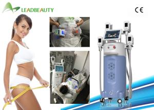 China Factory provide cryolipolysis cold body sculpting machine/cryolipolysis slimming machine price factory