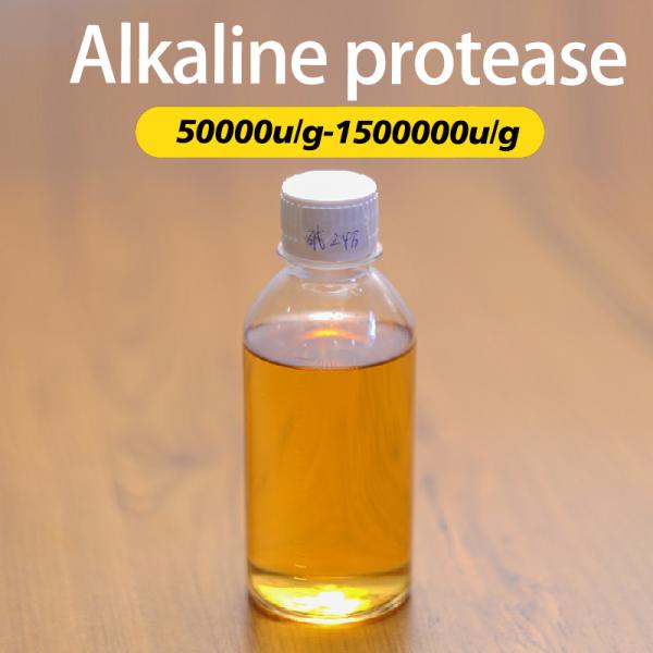 China Washing Protease Detergent 200000u/G Customized Enzyme Activity factory