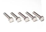 non standard 0.01 mm Plating Stainless Steel Screw Bolt