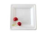 Square Sugarcane Pulp Plates