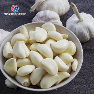 Garlic Peeling processing production Machine minced garlic processing production