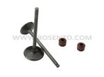 Motorcycle Engine Parts Valve Inlet Exhaust Set for Honda KTT CBF150