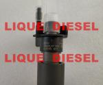 BOSCH Common Rail Injector 0445115077 , 0 445 115 077 , 0445 115 077