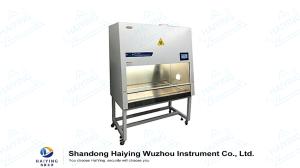 China B2 BSC Biological Safety Cabinet Ergonomic SS worktable factory