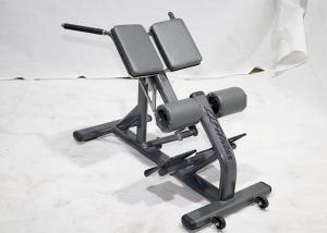 China Customizable Full Gym Back Extension Exercise Equipment factory