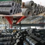 Stock Sales 0.8 Thin Thickness SS400 Black Carbon HR Hot Rolled Steel Coil in