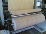 Melamine Impregnated Paper