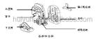 lowest peristaltic pump price YZ1515x