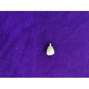 Single Tooth Trushine OSSETEM Dental Implants Fixture Level