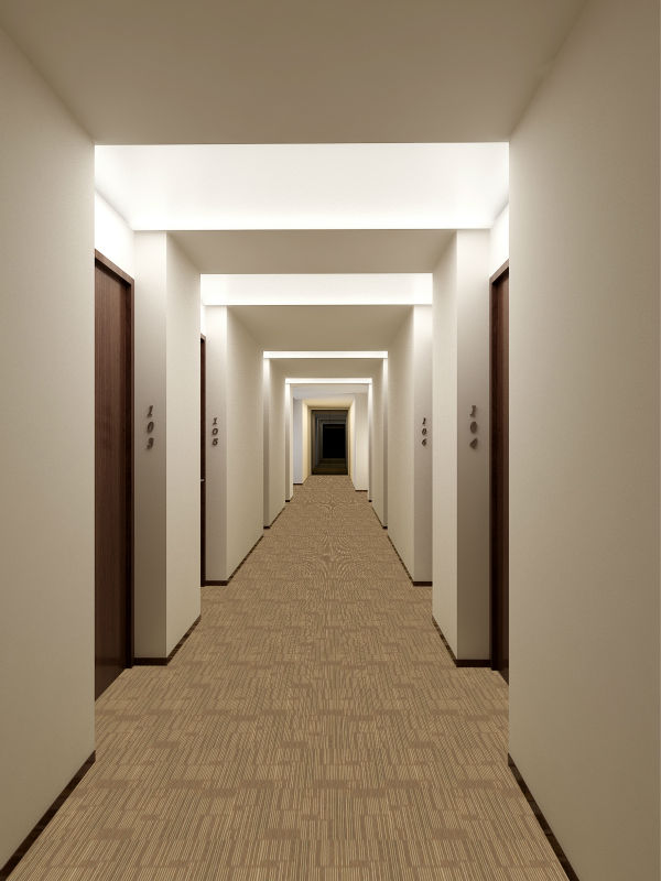 modern Hotel carpet