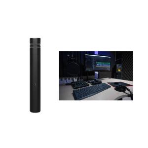 China Lightweight Cardioid Directivity Studio Condenser Microphone factory