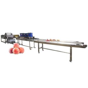 Hot selling Automatic Tomato Processing Line Cleaning Machine by Huafood