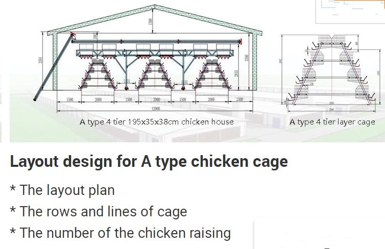 Eco - Friendly H Type Layer Chicken Cage Low Noise For Layers Poultry Farm