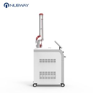 Medical Multifunction Vertical Picosecond Wrinkle Removal Pico Usa Laser Pico