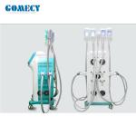 Multifunction Cryolipolysis Machine , 360 Cryotherapy Fat Freezing Machine