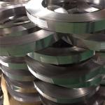 1.4369 Stainless Spring Steel Strip