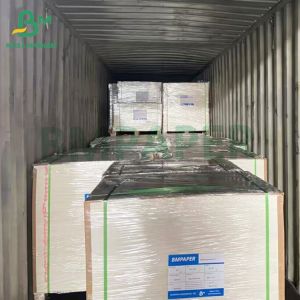 Smooth 180 Mic Anti - allergic Medical Thermal Synthetic Paper Sheet