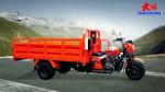 DAYANG Lifan 250CC 300CC Cargo Motorized Tricycle with 5.0 inch Wheels and
