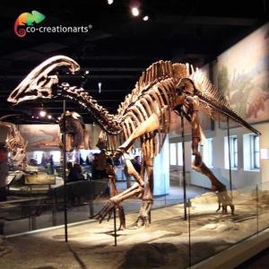 China Waterproofing Jurassic World Replica Parasaurolophus Skeleton 15 meters length factory