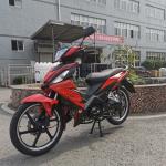 New 125cc Disc Brake Alloy Rims Motorcycle Cub 125cc South America Hot Sale