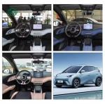 Electric EV Car 2025 BYD Seagull New Energy Car Smart EV Car cheap price byd